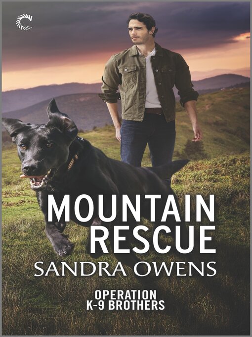 Title details for Mountain Rescue by Sandra Owens - Available